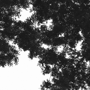 校花🌸扒腿让我吸奶图片
